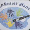 Rosier blanc